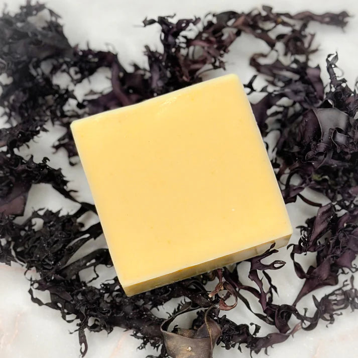 Sangria Soap